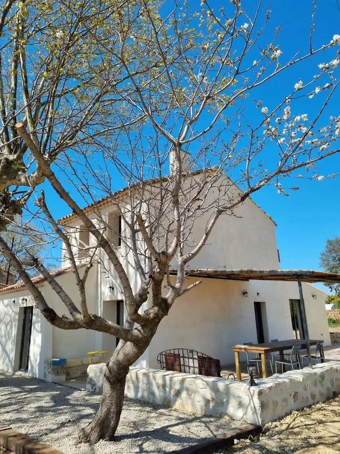 Villa Cerisier climatisée, à la campagne Arles