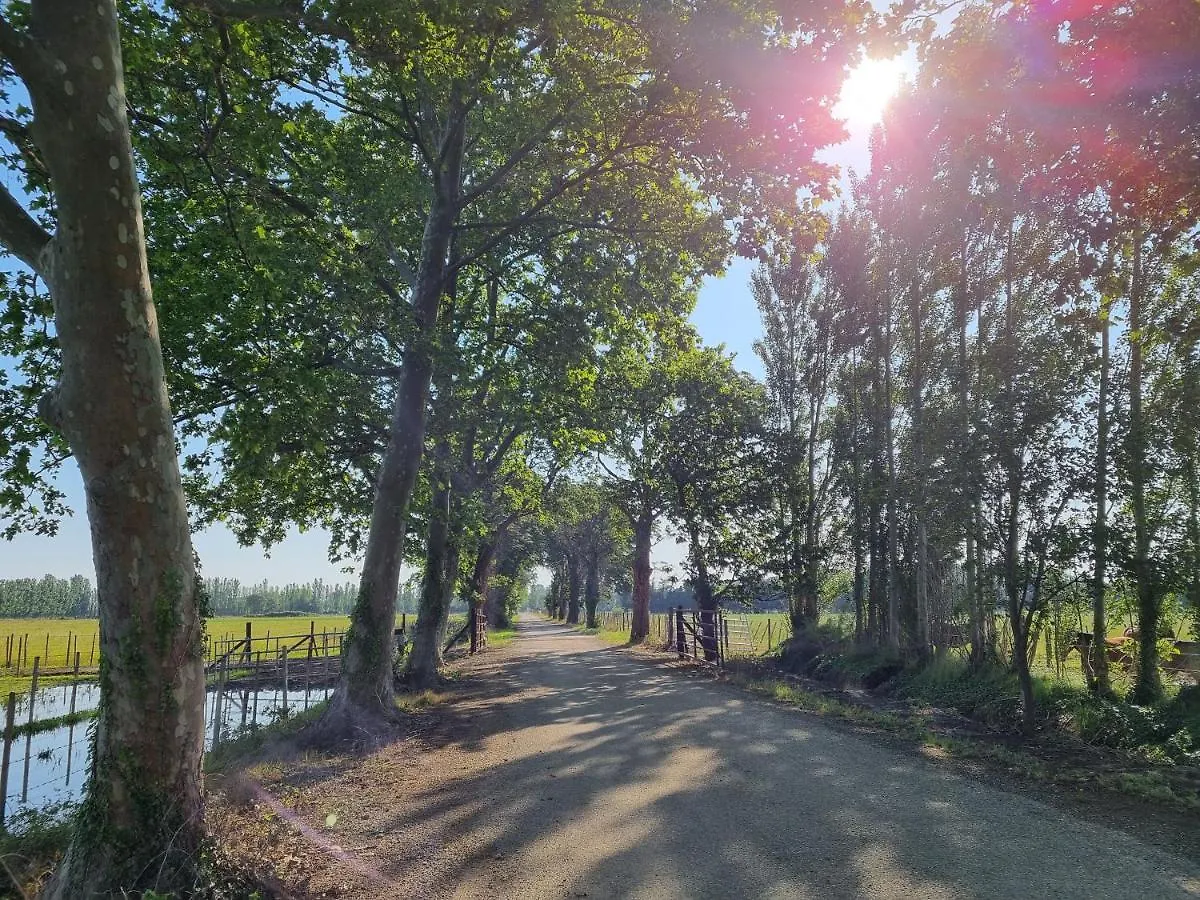 Domaine De La Tapie De Bouchet - En Camargue Villa Arles