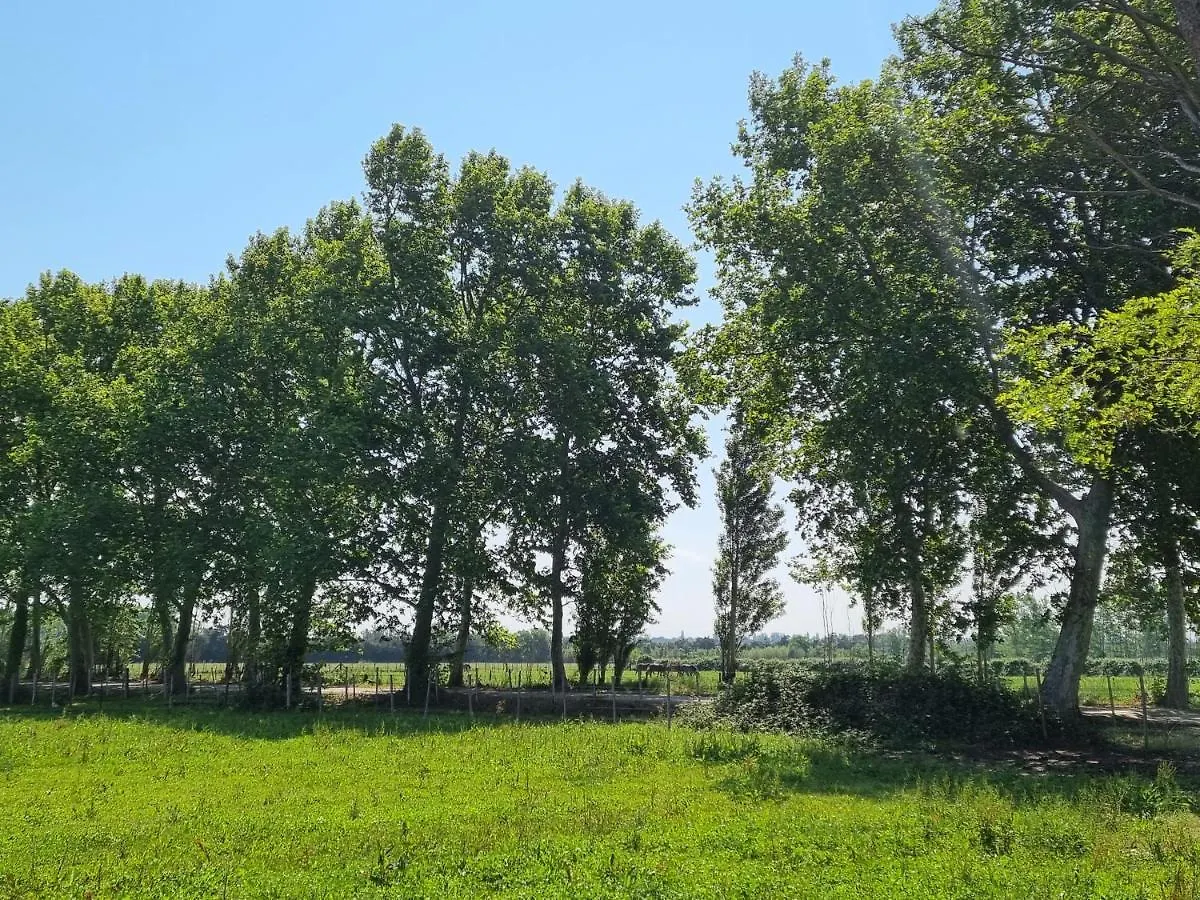Villa Cerisier climatisée, à la campagne Arles 0*,