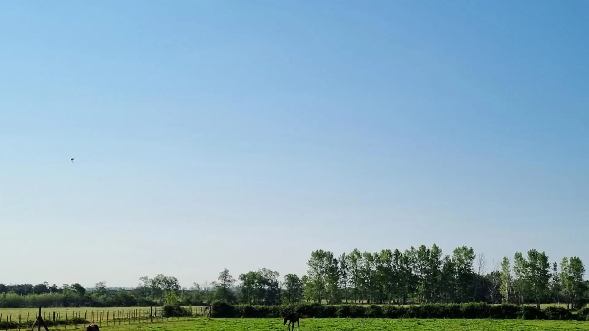 Villa Cerisier climatisée, à la campagne Arles